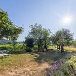 Near River Kolpa, Vineyards,top Location. Adlesici