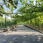 Near River Kolpa, Vineyards,top Location. Daire *