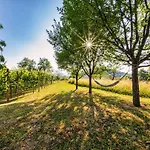 Near River Kolpa, Vineyards,top Location. * Adlesici