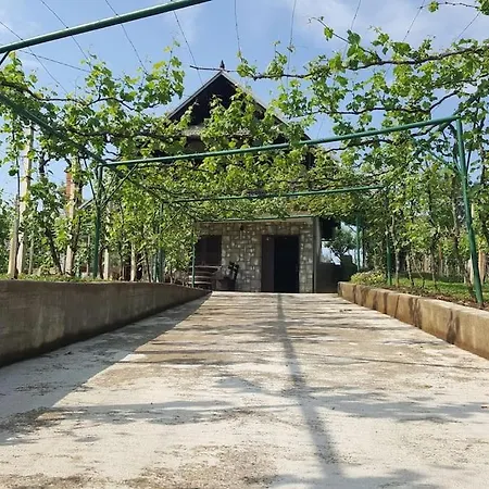 Near River Kolpa, Vineyards,top Location. *