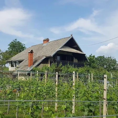 Apartment Near River Kolpa, Vineyards,top Location.