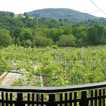 Apartment Near River Kolpa, Vineyards,top Location.