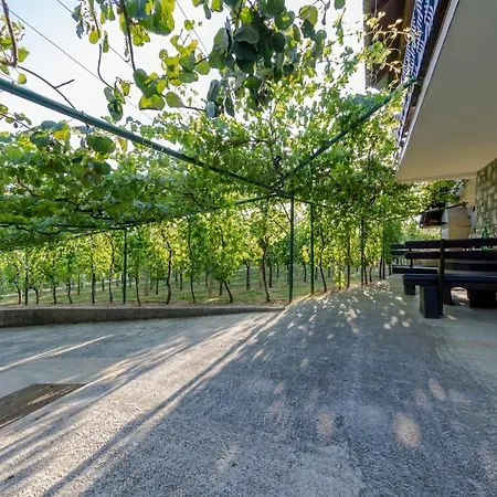 Daire Near River Kolpa, Vineyards,top Location. Adlesici