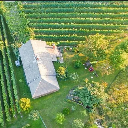 Near River Kolpa, Vineyards,top Location. Daire