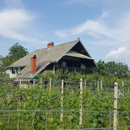 Daire Near River Kolpa, Vineyards,top Location. *