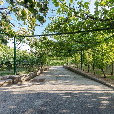 Near River Kolpa, Vineyards,top Location. Apartman *