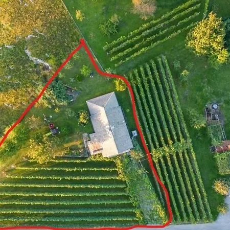 Near River Kolpa, Vineyards,top Location. Apartmán *