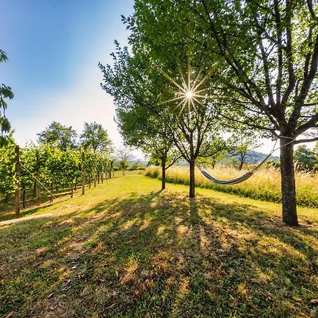 Near River Kolpa, Vineyards,top Location. * Adlešiči