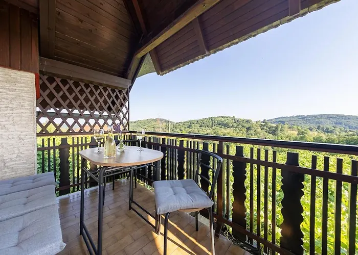 Apartment Near River Kolpa, Vineyards,top Location. Adlesici