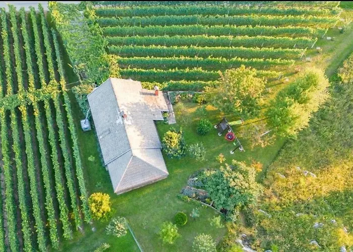 Near River Kolpa, Vineyards,top Location. Apartment