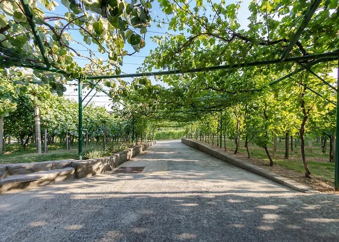 Near River Kolpa, Vineyards,top Location. Apartment *