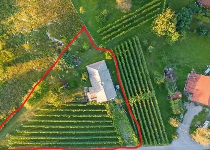 Near River Kolpa, Vineyards,top Location. Apartment *